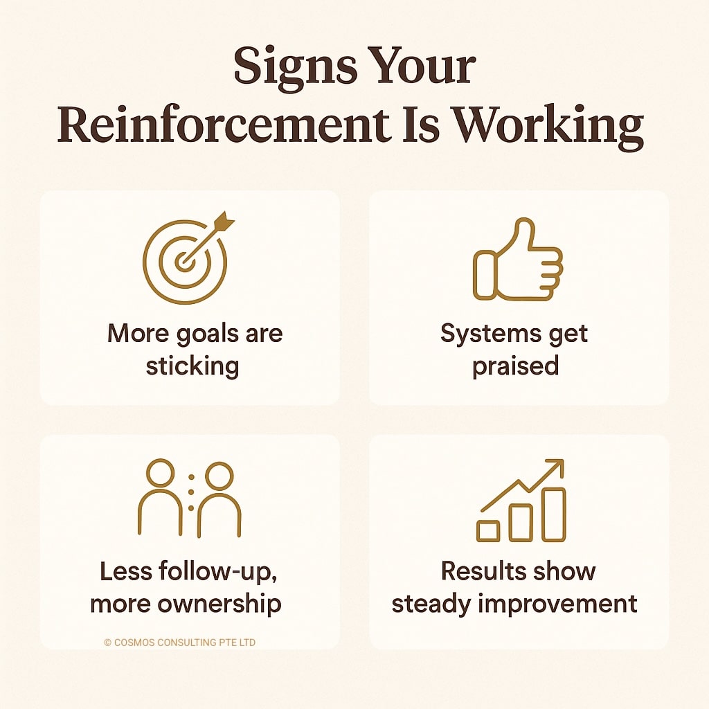infographic showing signs that reinforce business systems is working in SMEs